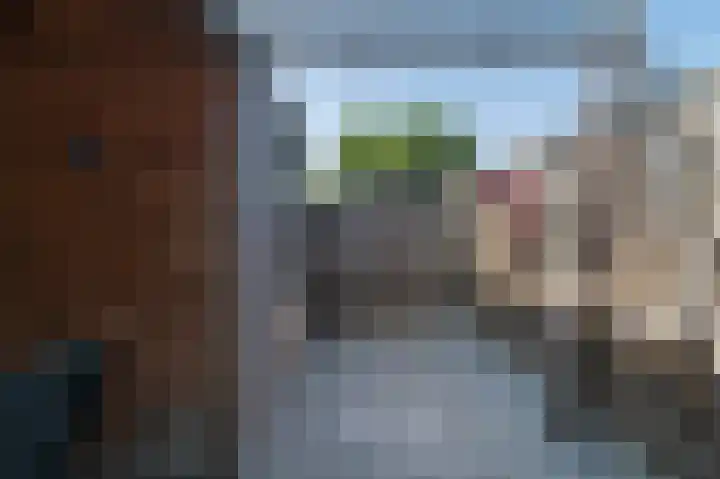 Eleolietdijk 50 Roosendaal thumbnail 37