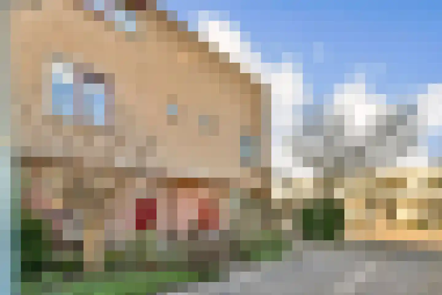 Eleonorastraat 121 Vlaardingen