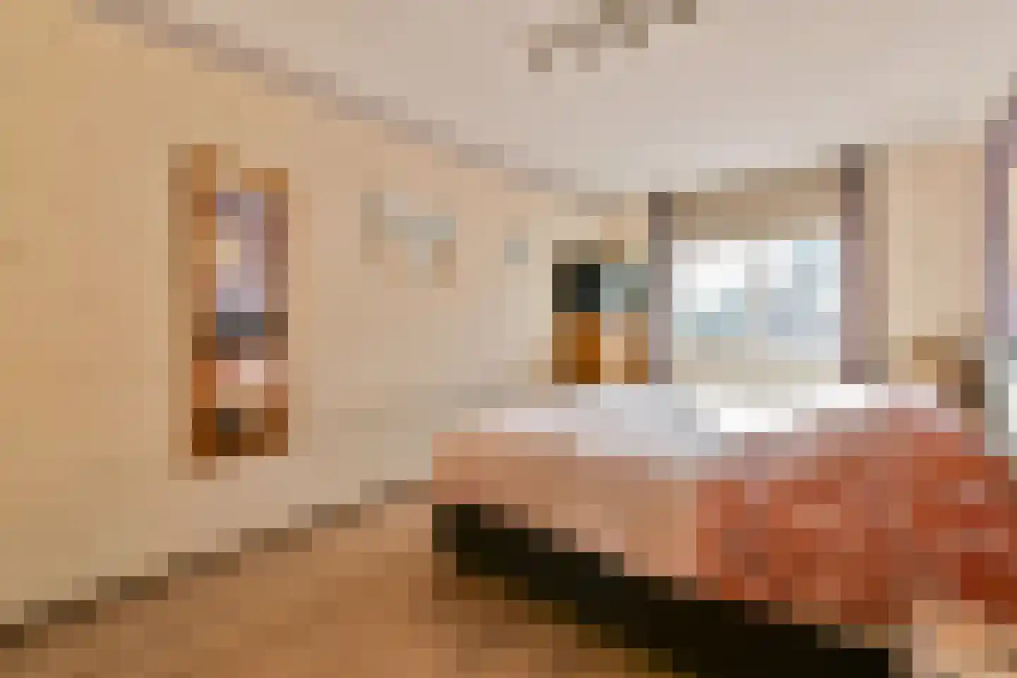Eleonorastraat 121 Vlaardingen thumbnail 14