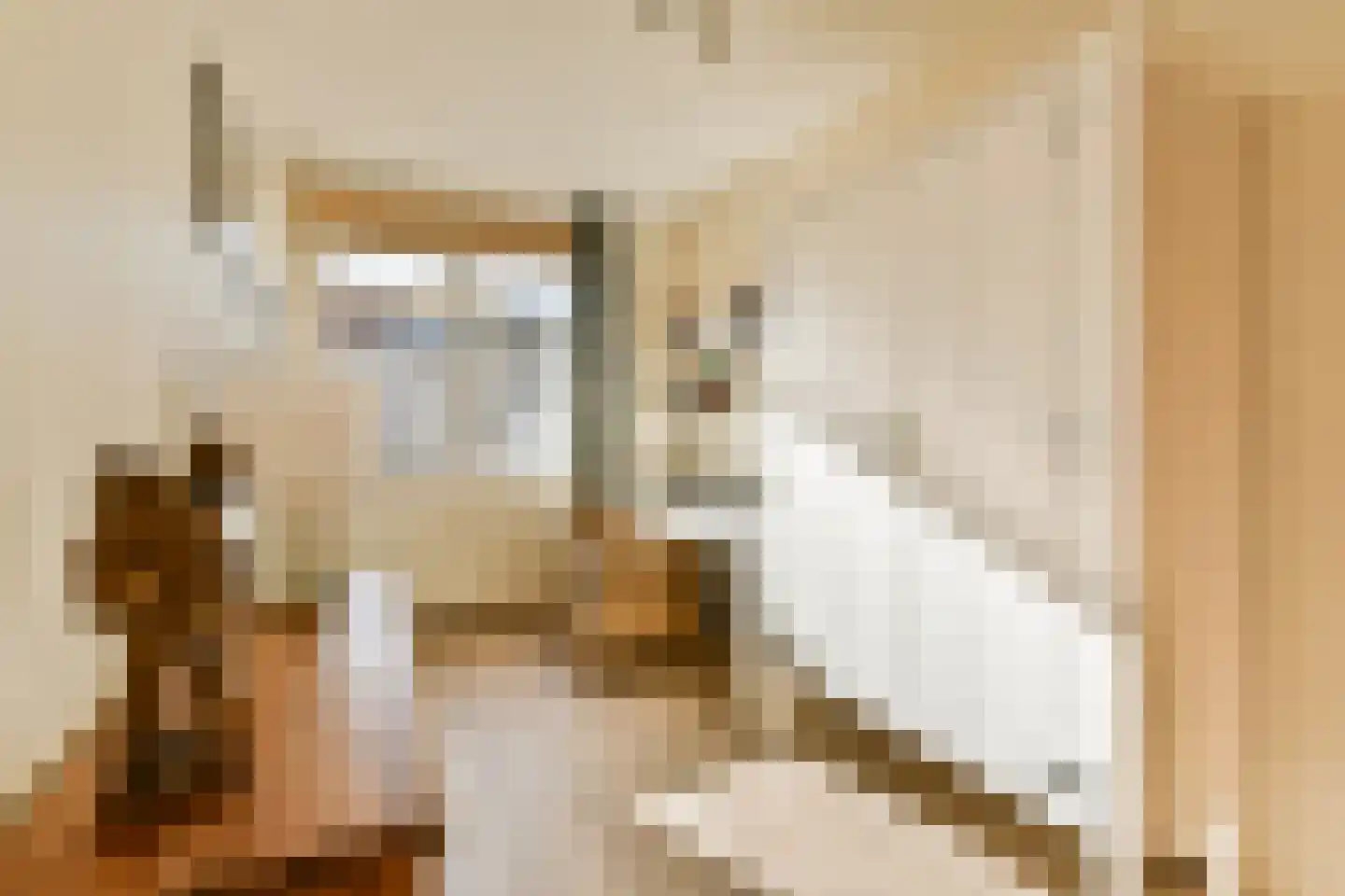 Eleonorastraat 121 Vlaardingen thumbnail 19