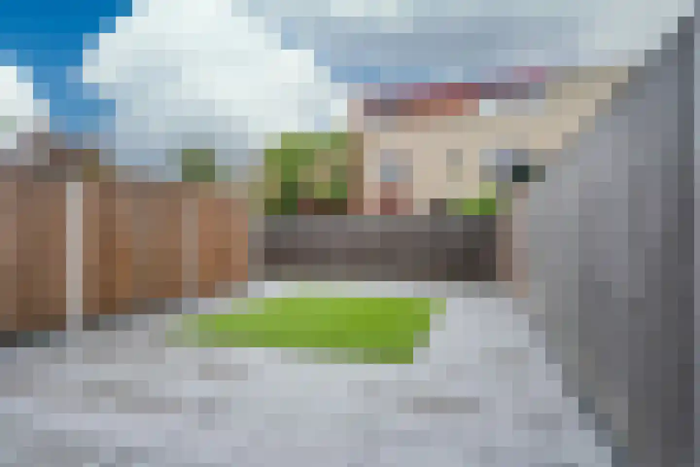Eleonorastraat 127 Vlaardingen thumbnail 31