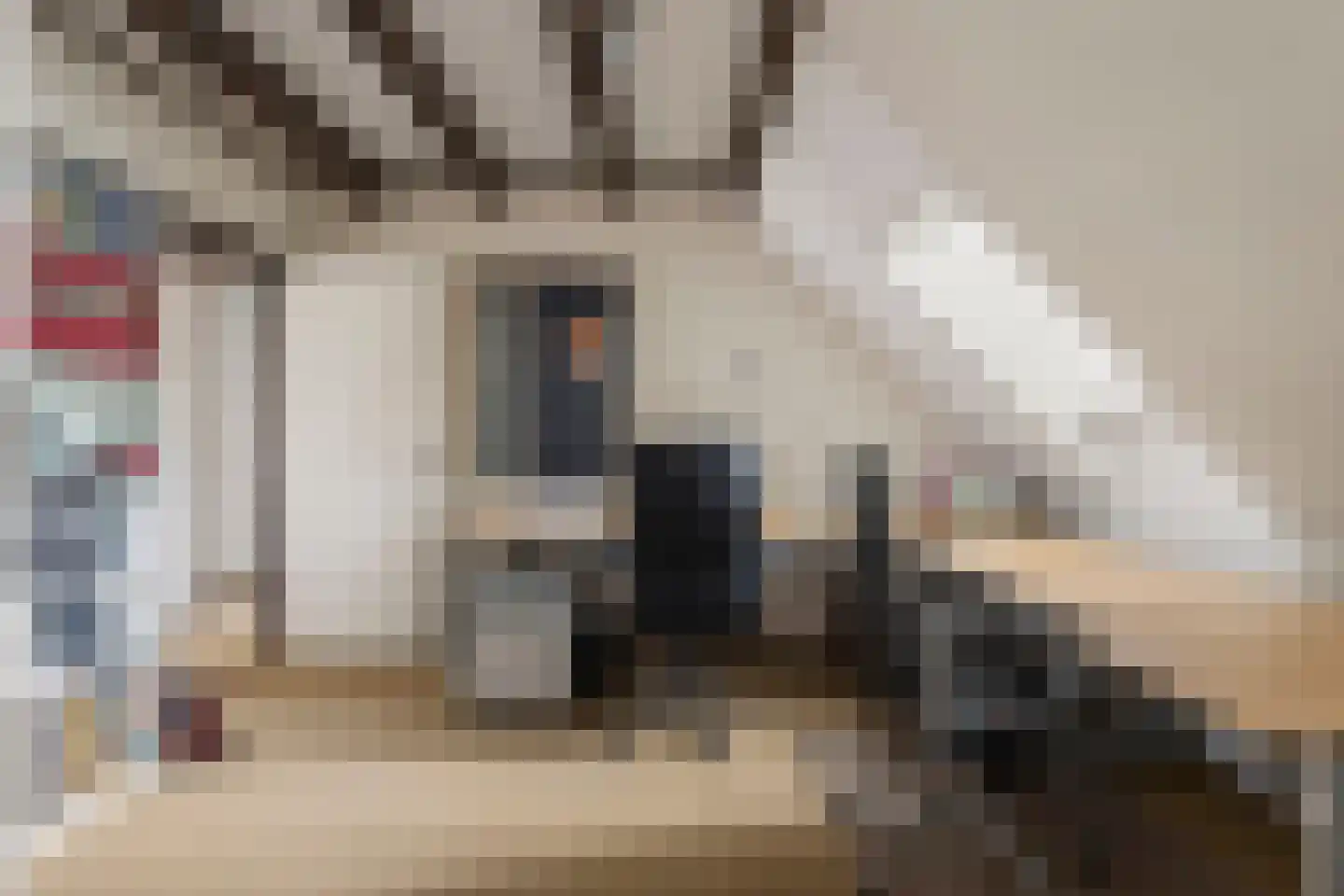 Eleonoraweg 7 Nijmegen thumbnail 25