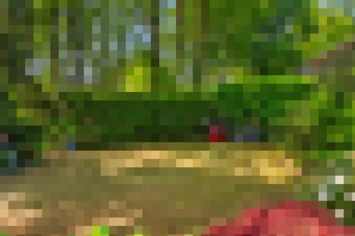 Eleonoraweg 7 Nijmegen thumbnail 35