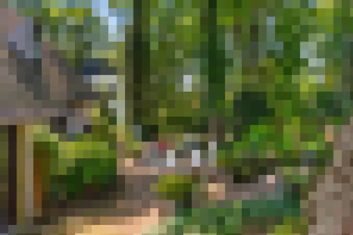 Eleonoraweg 7 Nijmegen thumbnail 36