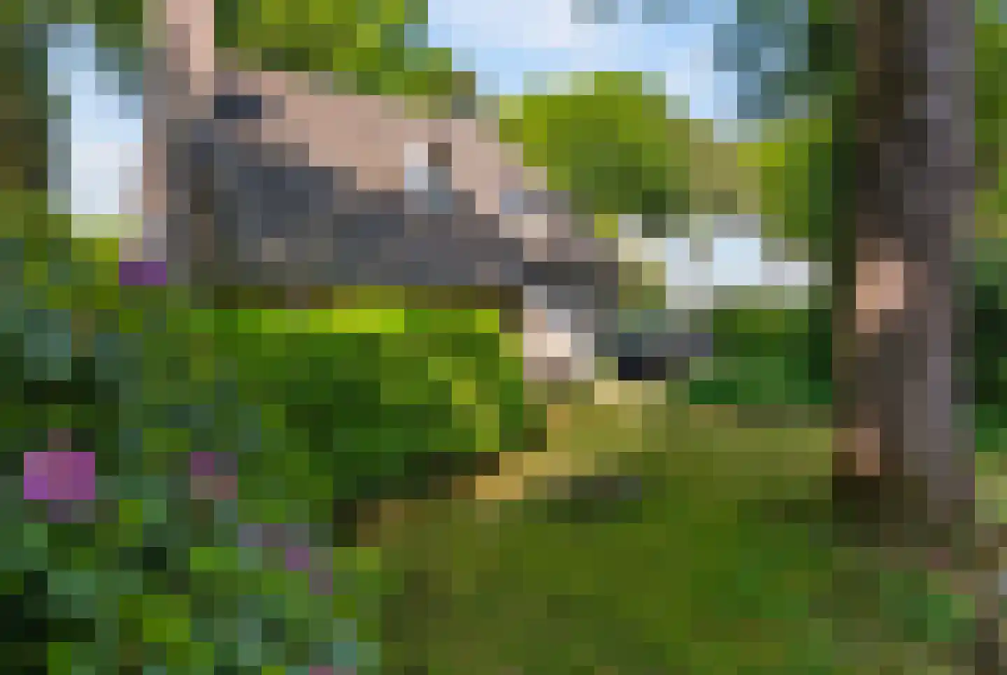 Eleonoraweg 7 Nijmegen thumbnail 4