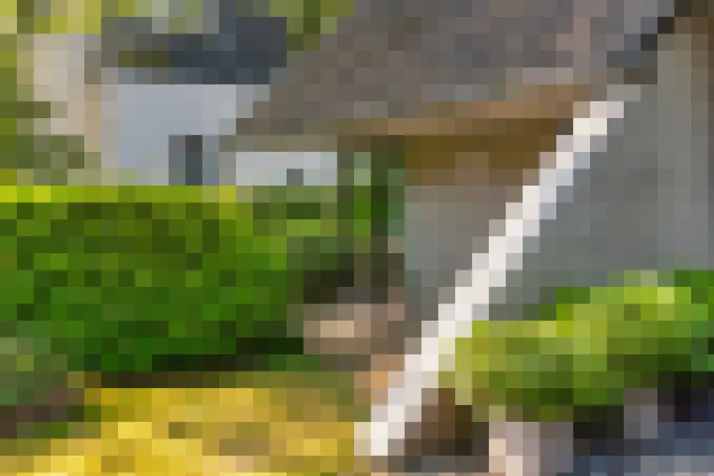 Eleonoraweg 7 Nijmegen thumbnail 5