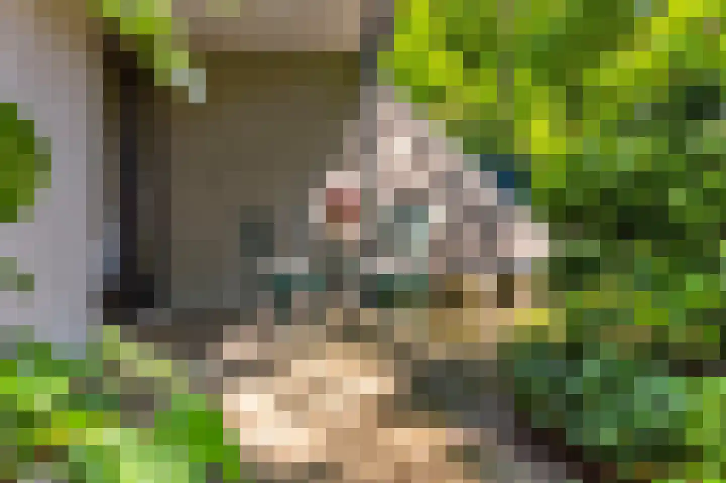 Eleonoraweg 7 Nijmegen thumbnail 6