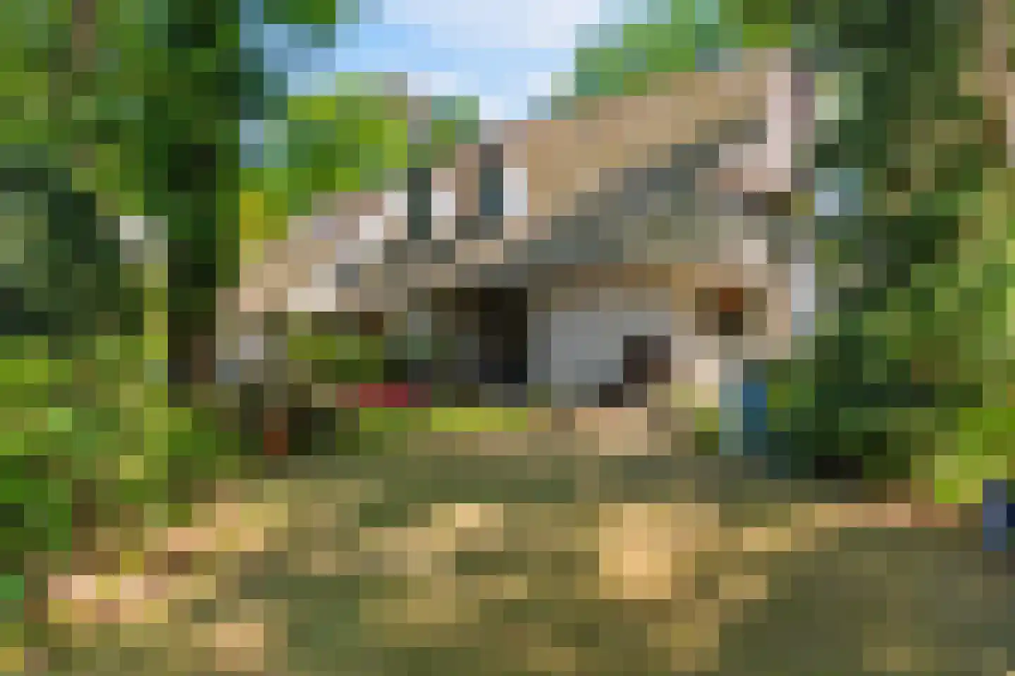 Eleonoraweg 7 Nijmegen thumbnail 7