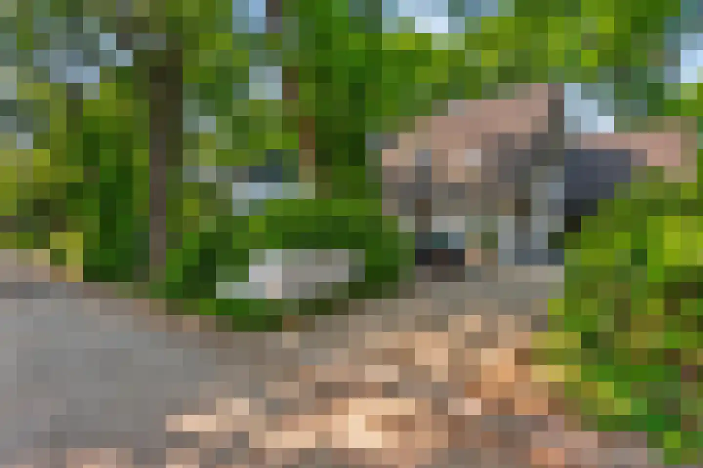 Eleonoraweg 7 Nijmegen thumbnail 8