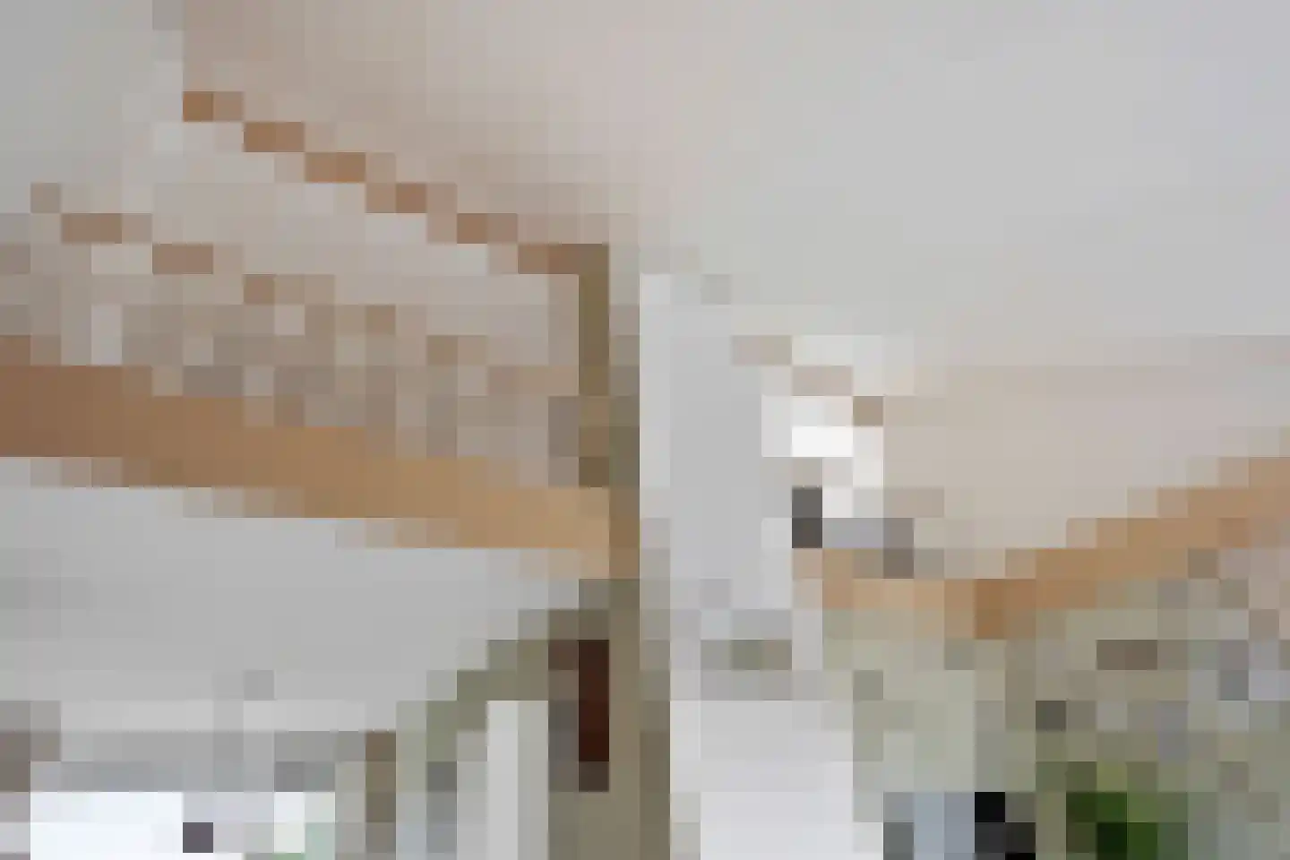 Elf Guldensmijn 2 Wateringen thumbnail 12