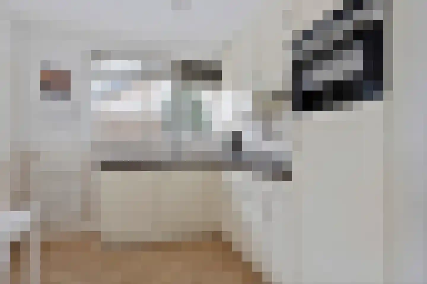 Elf Guldensmijn 2 Wateringen thumbnail 17
