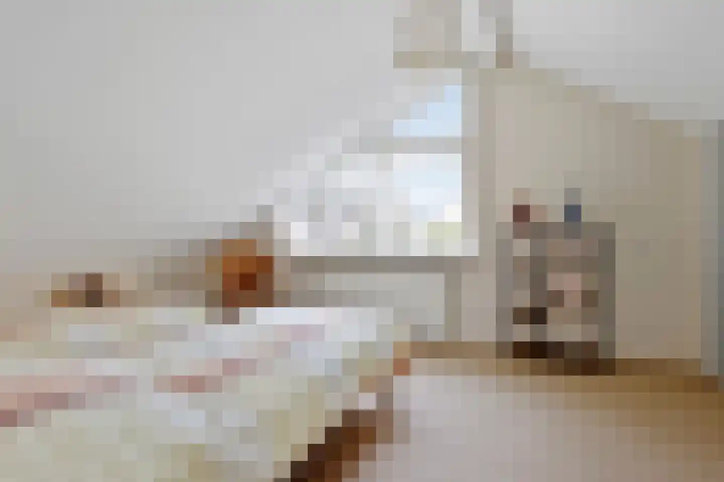 Elf Guldensmijn 2 Wateringen thumbnail 30