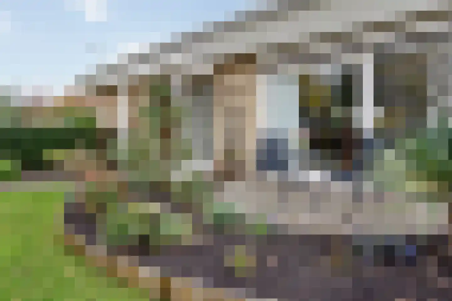 Elf Guldensmijn 2 Wateringen thumbnail 36