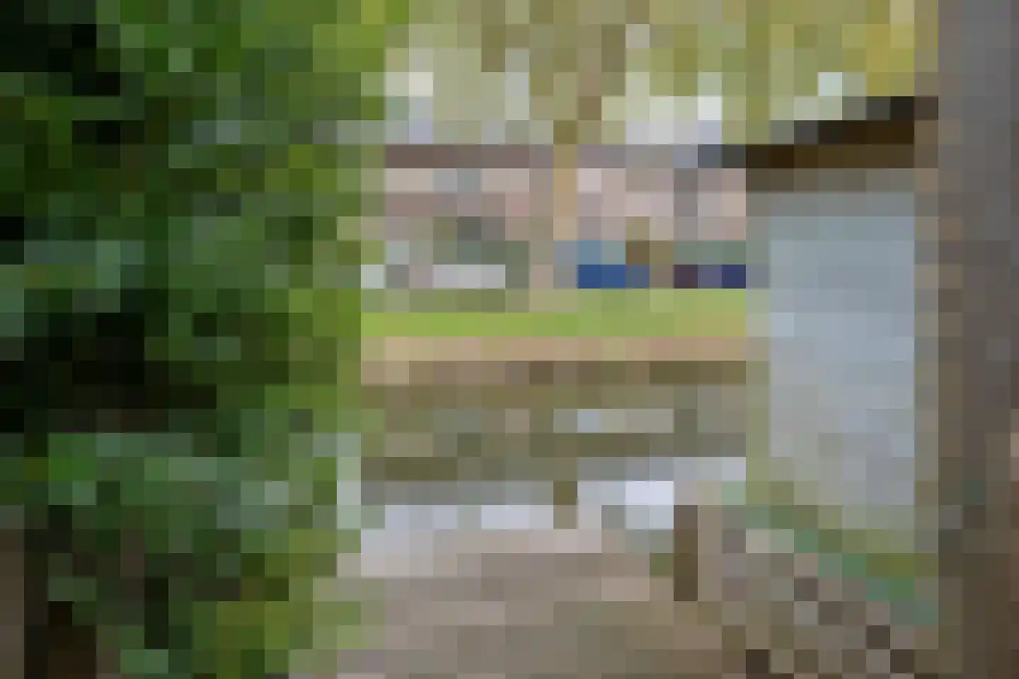 Elf Guldensmijn 2 Wateringen thumbnail 37