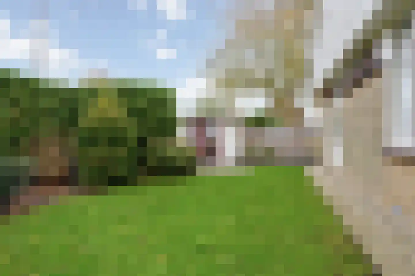 Elf Guldensmijn 2 Wateringen thumbnail 42