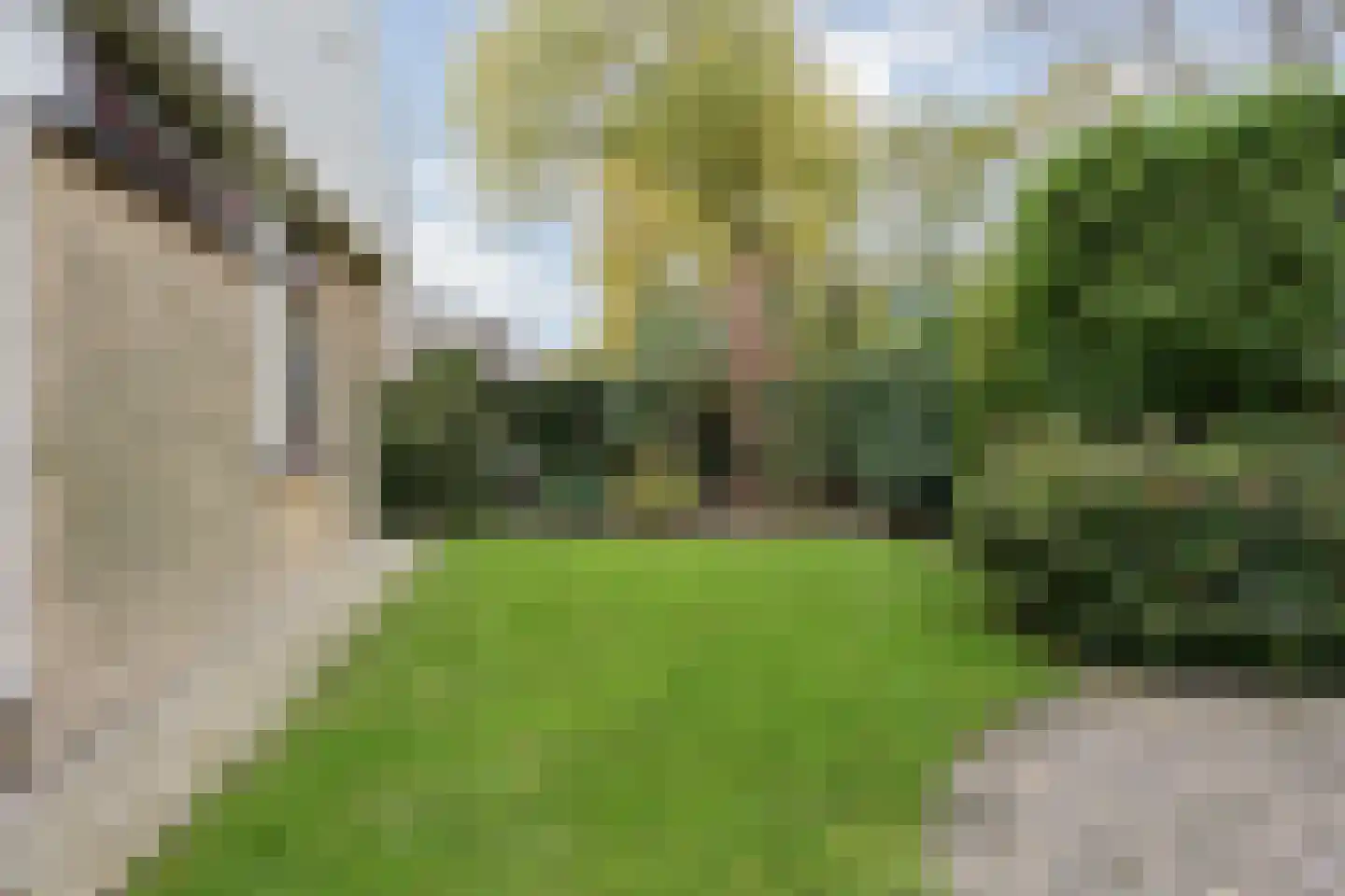 Elf Guldensmijn 2 Wateringen thumbnail 43