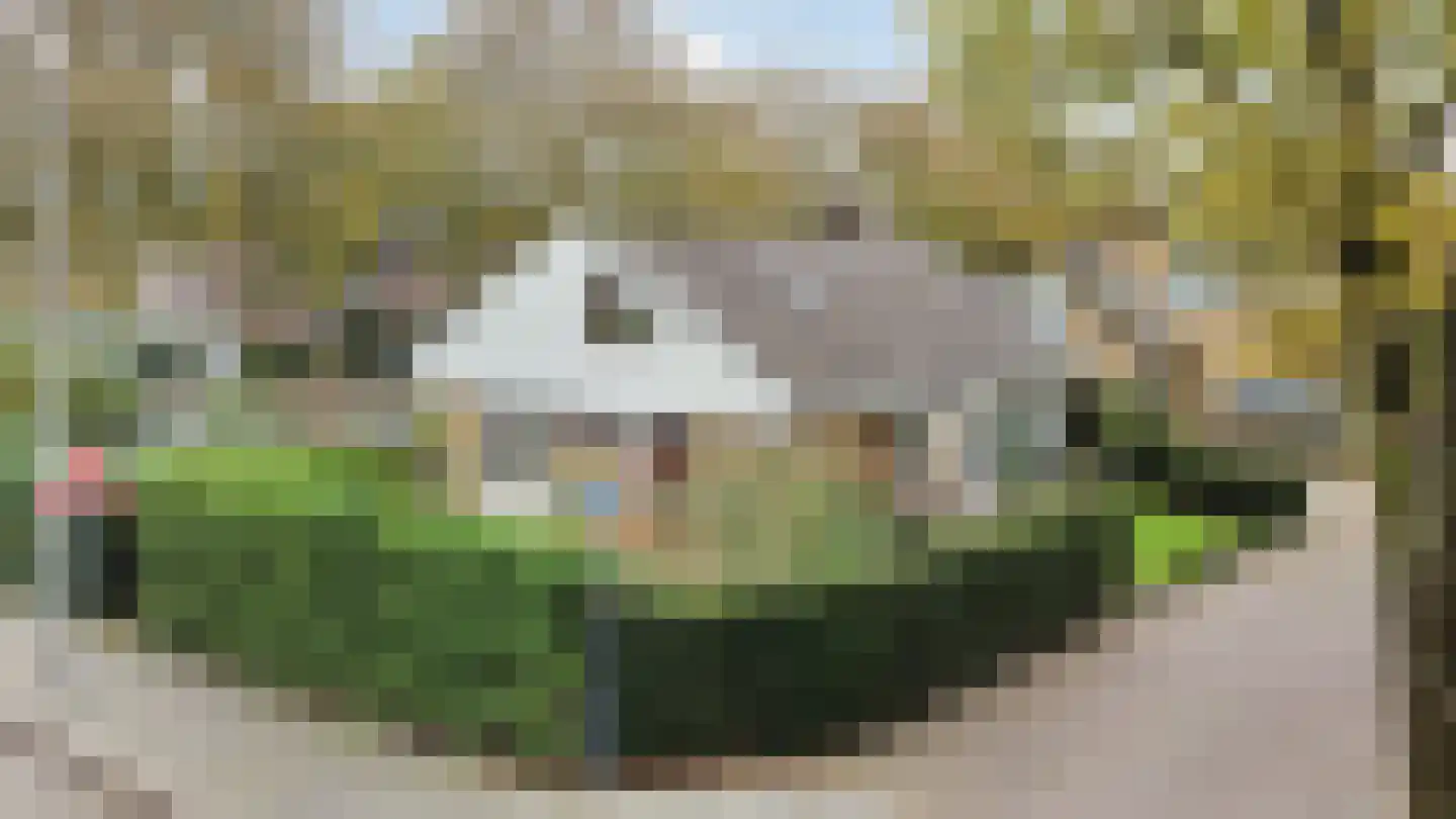 Elf Guldensmijn 2 Wateringen thumbnail 45