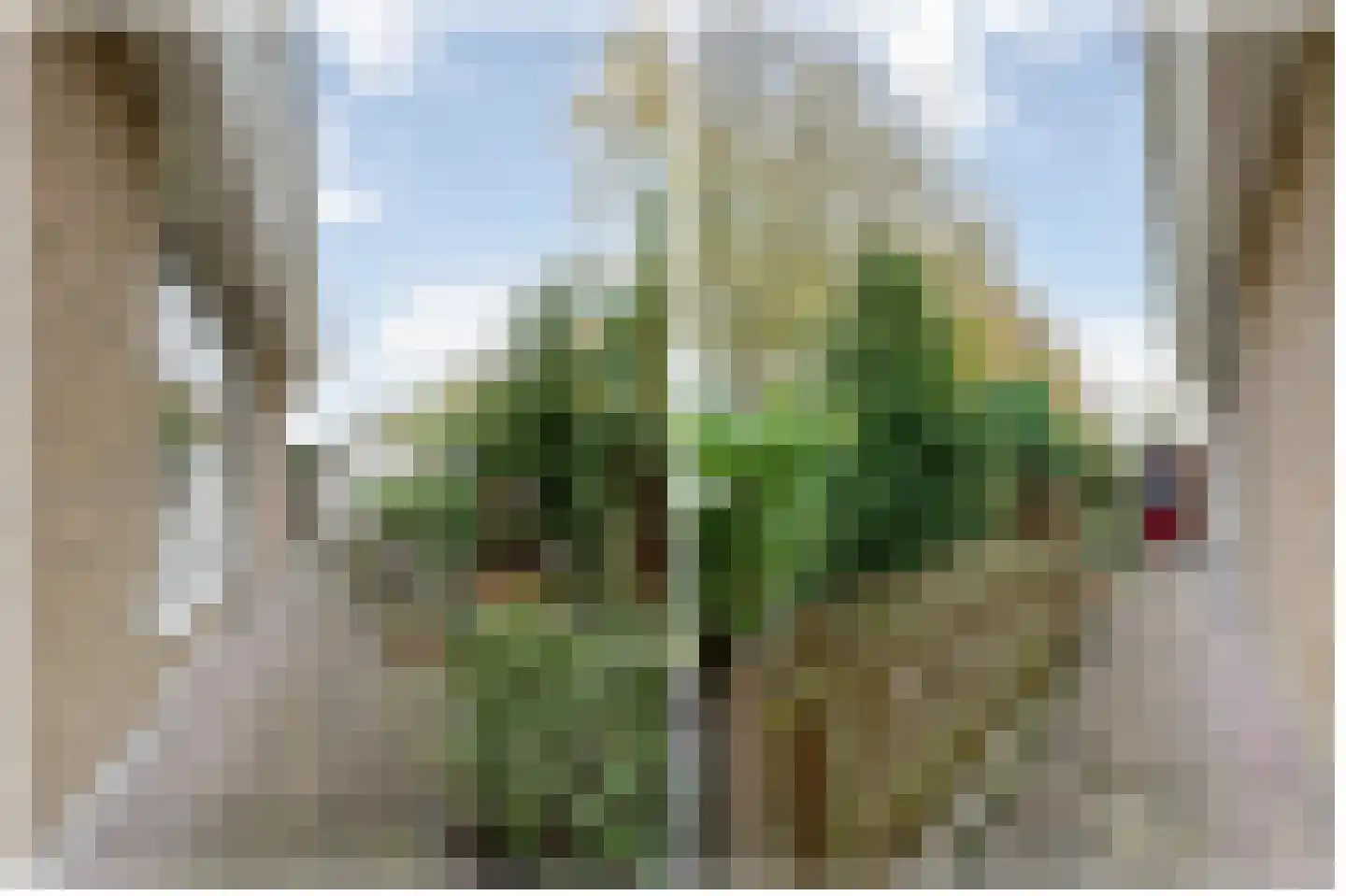 Elf Guldensmijn 2 Wateringen thumbnail 46