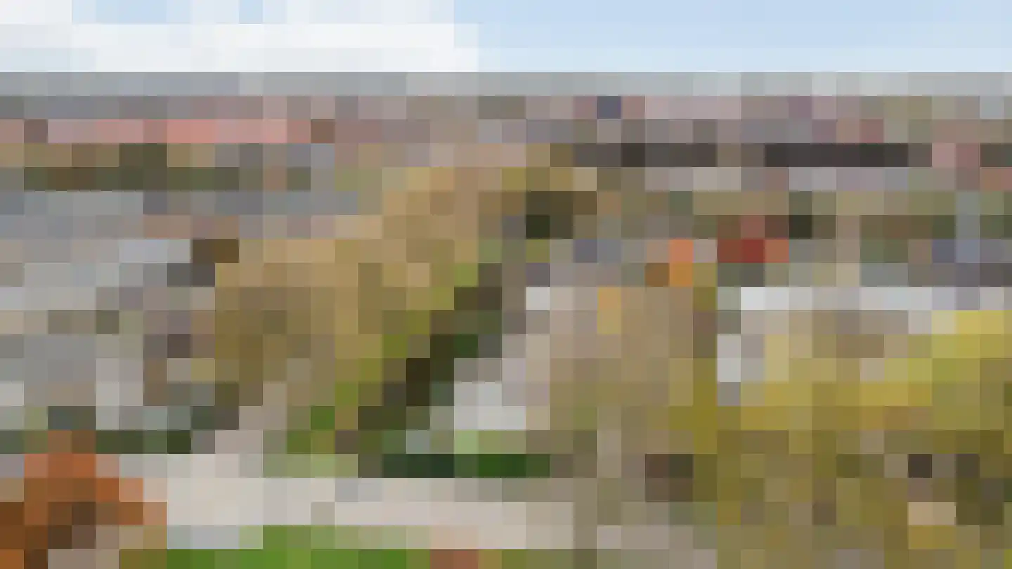 Elf Guldensmijn 2 Wateringen thumbnail 50
