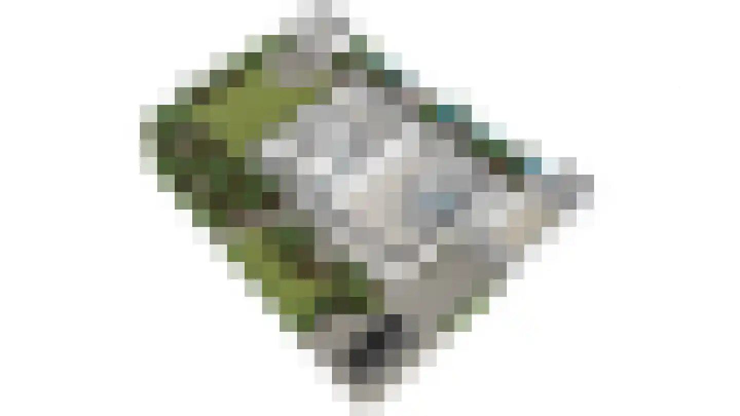 Elf Guldensmijn 2 Wateringen thumbnail 66