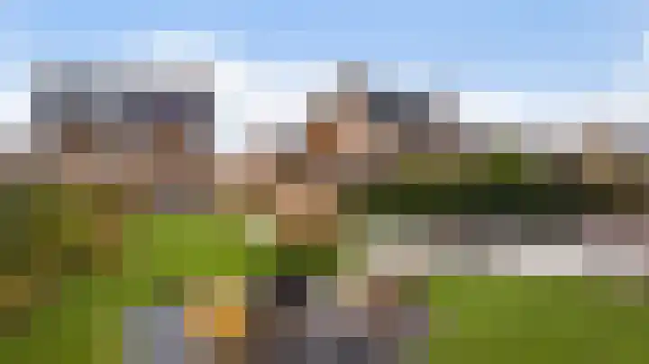 Elf Morgen 4 Dordrecht thumbnail 10