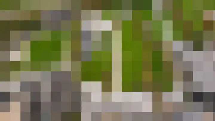 Elf Morgen 4 Dordrecht thumbnail 11