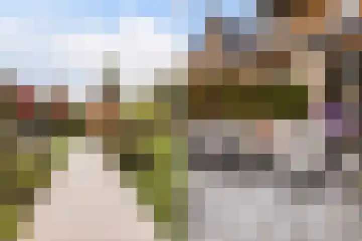 Elf Morgen 4 Dordrecht thumbnail 13