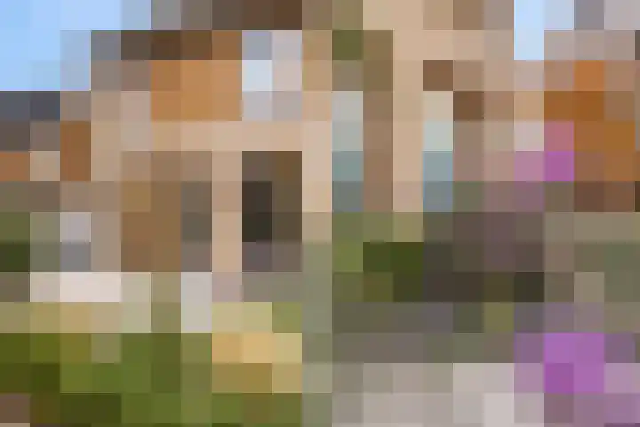 Elf Morgen 4 Dordrecht thumbnail 14