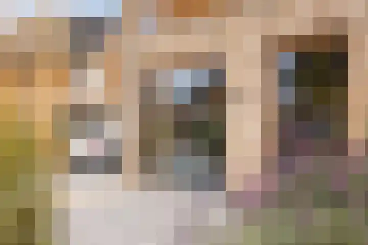 Elf Morgen 4 Dordrecht thumbnail 15