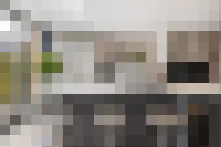 Elf Morgen 4 Dordrecht thumbnail 18