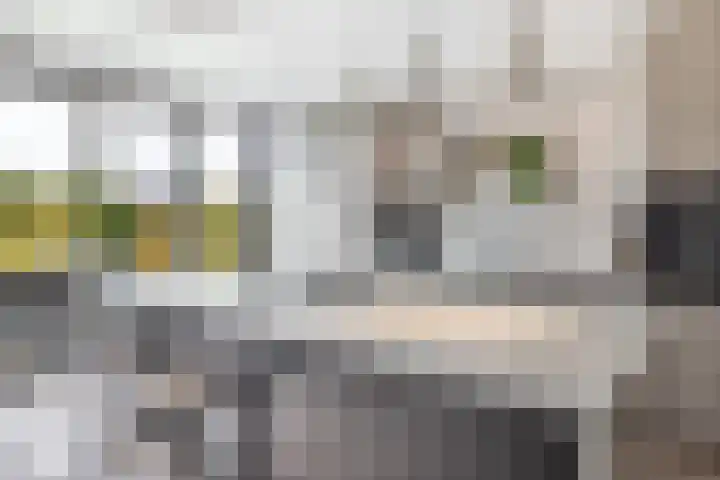 Elf Morgen 4 Dordrecht thumbnail 20