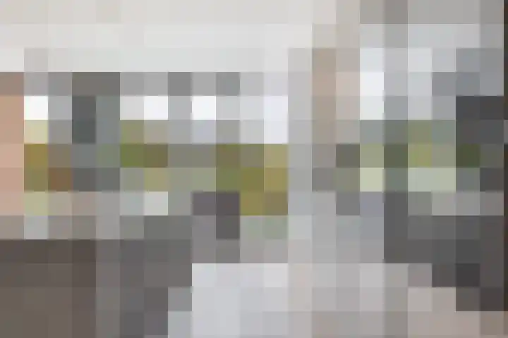 Elf Morgen 4 Dordrecht thumbnail 22