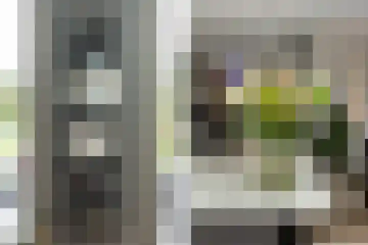 Elf Morgen 4 Dordrecht thumbnail 25