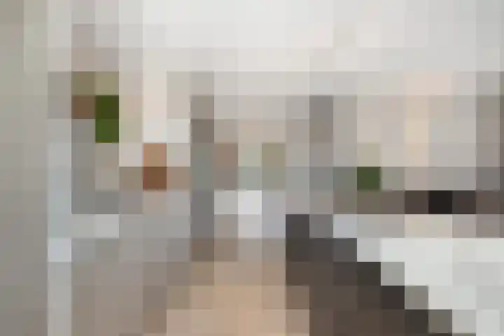 Elf Morgen 4 Dordrecht thumbnail 26