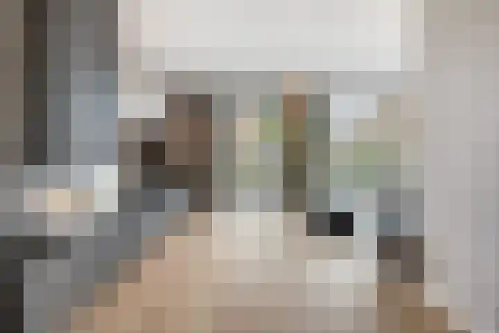 Elf Morgen 4 Dordrecht thumbnail 29