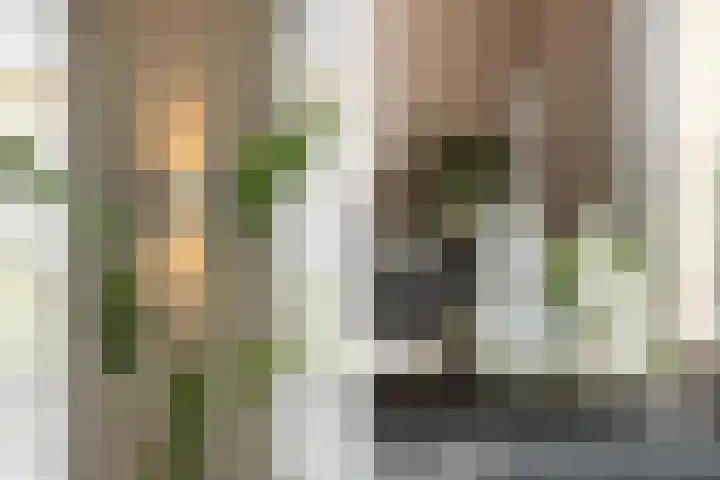 Elf Morgen 4 Dordrecht thumbnail 31
