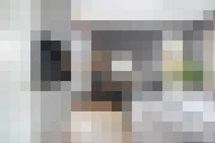 Elf Morgen 4 Dordrecht thumbnail 35