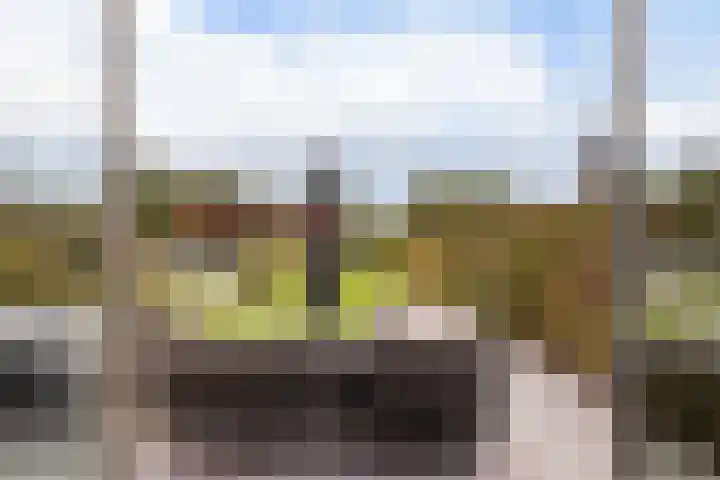 Elf Morgen 4 Dordrecht thumbnail 4