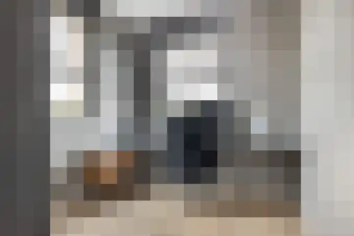 Elf Morgen 4 Dordrecht thumbnail 43