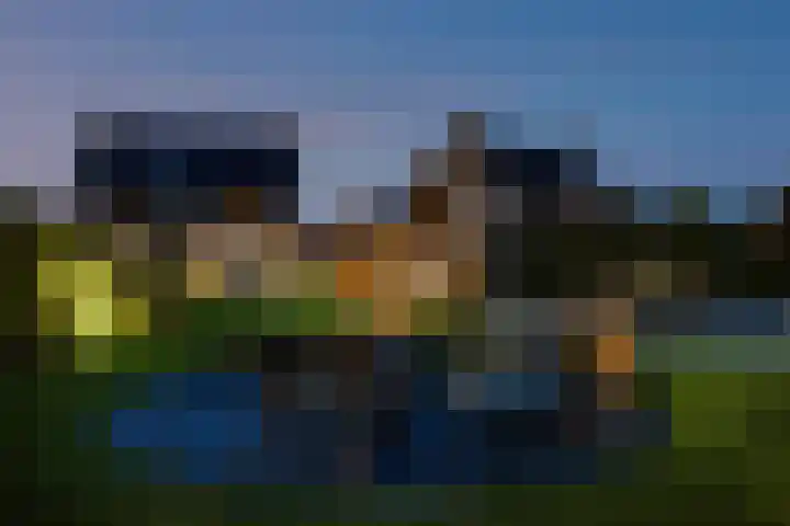 Elf Morgen 4 Dordrecht thumbnail 48
