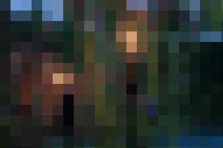 Elf Morgen 4 Dordrecht thumbnail 49