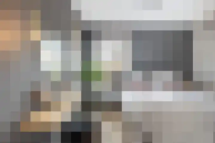Elf Morgen 4 Dordrecht thumbnail 5