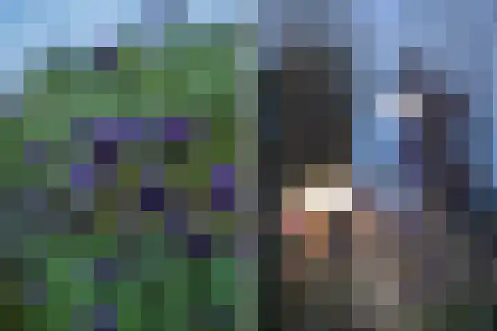 Elf Morgen 4 Dordrecht thumbnail 50