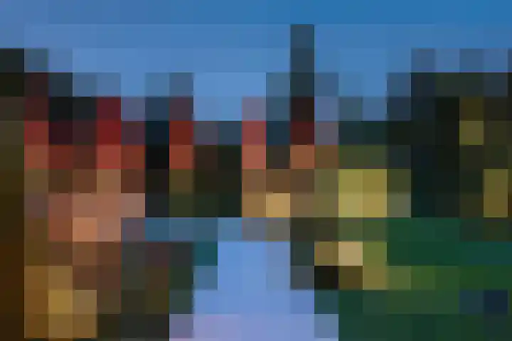 Elf Morgen 4 Dordrecht thumbnail 51