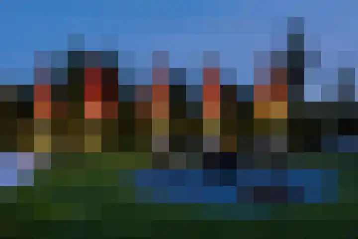 Elf Morgen 4 Dordrecht thumbnail 52