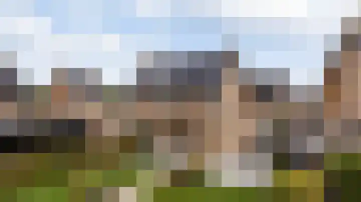 Elf Morgen 4 Dordrecht thumbnail 6