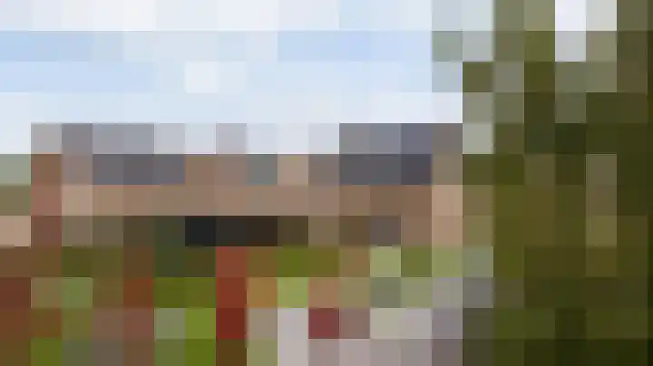 Elf Morgen 4 Dordrecht thumbnail 7