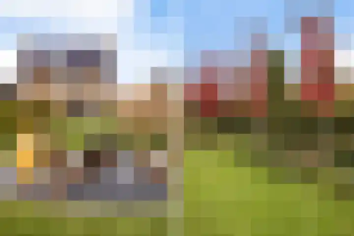 Elf Morgen 4 Dordrecht thumbnail 8