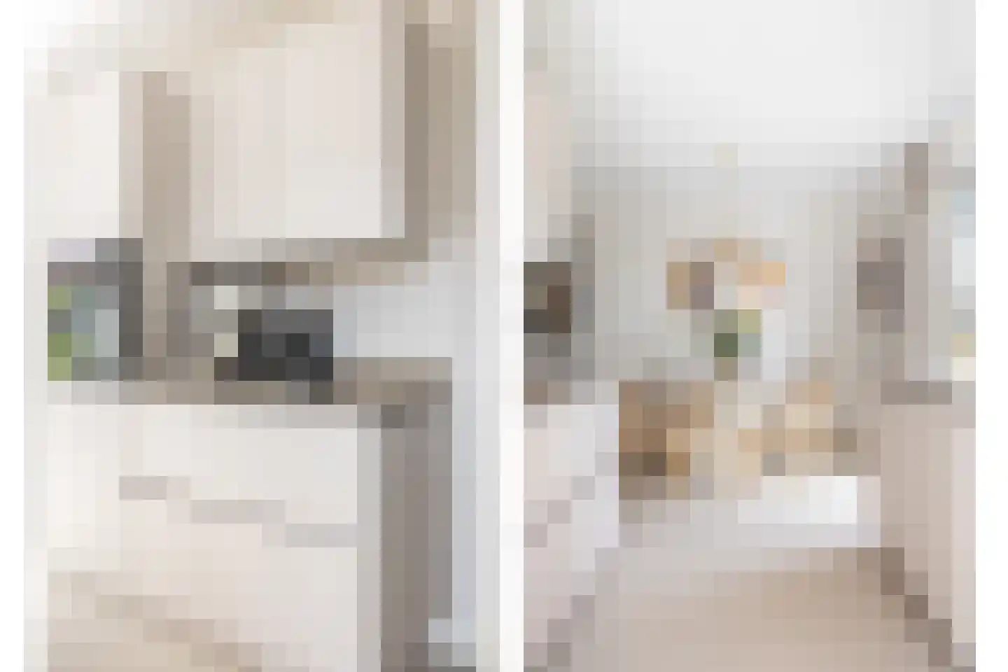 Elf Morgen 9 Dordrecht thumbnail 31