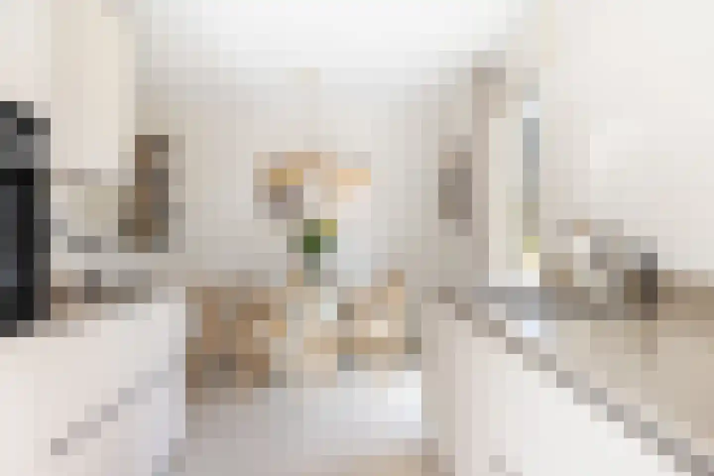 Elf Morgen 9 Dordrecht thumbnail 37